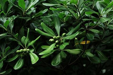 Game Pass 9月下旬游戏公开 《黑帝斯》《圣剑传说》